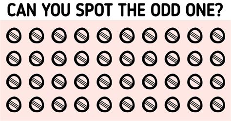 find the odd one out|the odd ones out pictures.